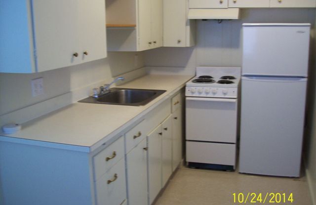 1 bed, 1 bath, 525 sqft, $845, Unit #313