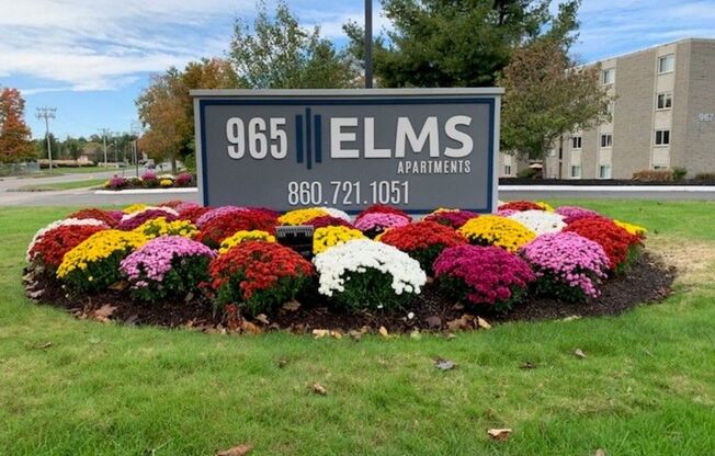 965 ELMS Apartments