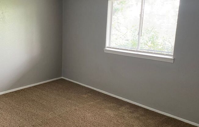 1 bed, 1 bath, 765 sqft, $725