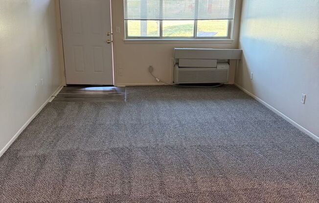 1 bed, 1 bath, 517 sqft, $550, Unit 417