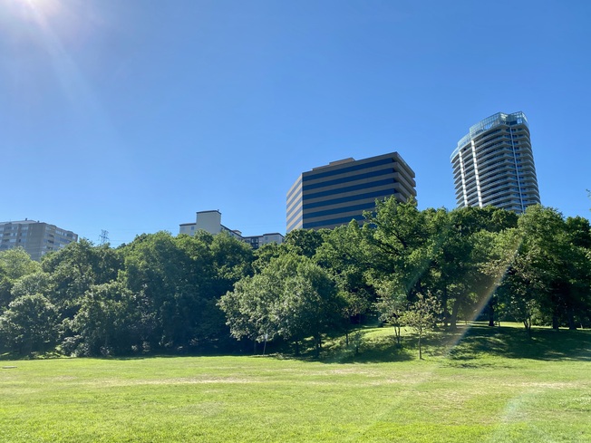 Reverchon Park and Uptown Highrises