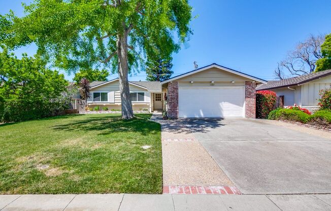Charming Updated 4 Bedroom Home in Santa Clara with Expansive Backyard and Fruit Trees.