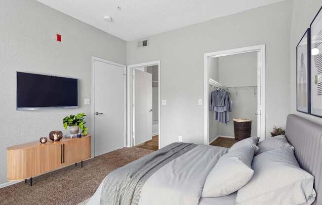 Bedroom with Plush Carpeting