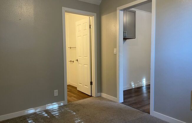 Studio, 1 bath, 550 sqft, $1,000