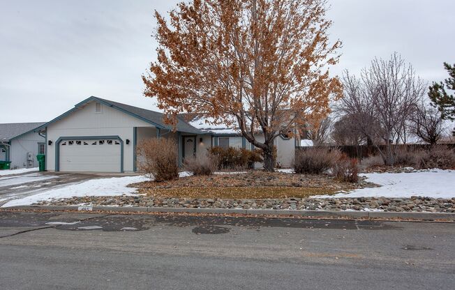 465 Nicole Drive, Sparks, NV 89436