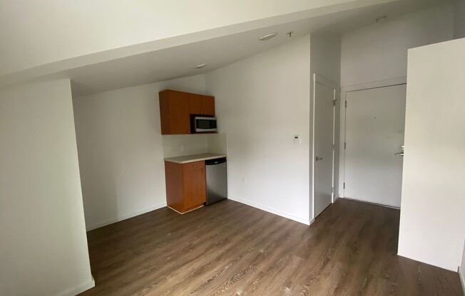 Studio, 1 bath, 175 sqft, $1,295, Unit 4501