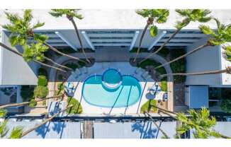 A swimming pool surrounded by trees and a white wall.