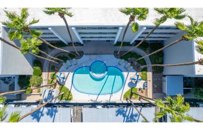 A swimming pool surrounded by trees and a white wall.