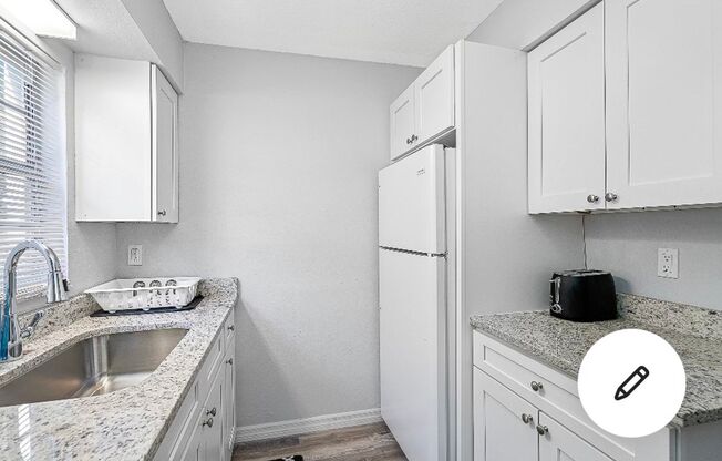 Centrally located 1 bed 1 bath in Tampa, pet-friendly!