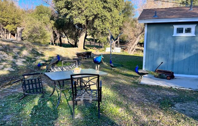 3 beds, 2 baths, $2,395