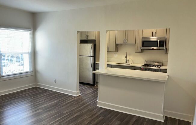 1 bed, 1 bath, 550 sqft, $1,650, Unit 0101