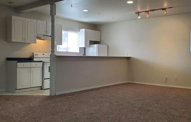 Large 1 Bedroom Home