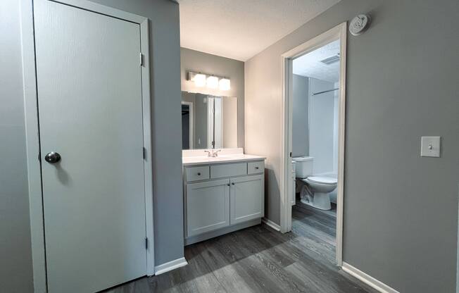 a bathroom with a mirror and a sink and a toilet