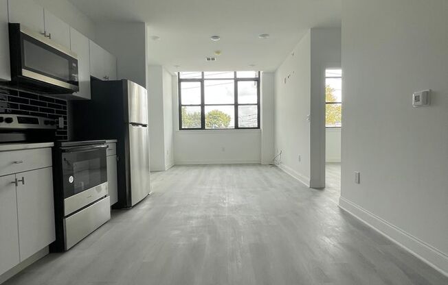 1600 West Hunting Park - Residential