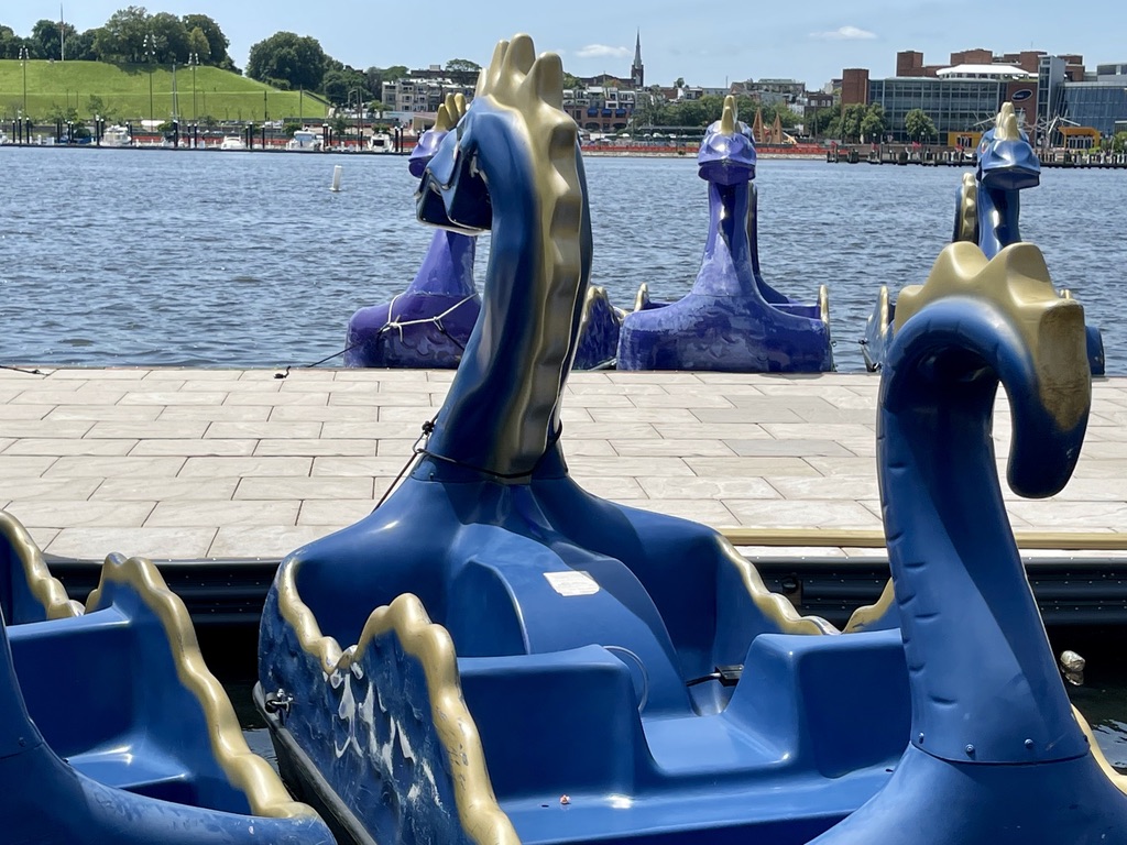 Inner Harbor Dragon Paddle Boats