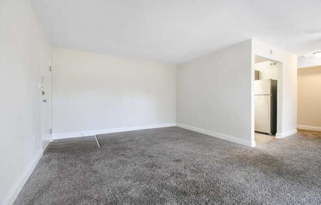 A room with a grey carpet and white walls.