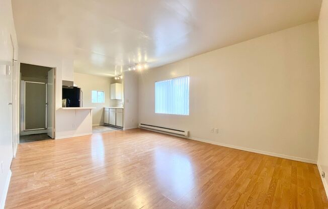 Studio, 1 bath, 350 sqft, $1,150, Unit 2910-03