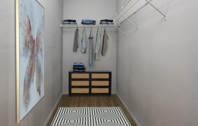 a walk in closet with clothes rack and a painting on the wall