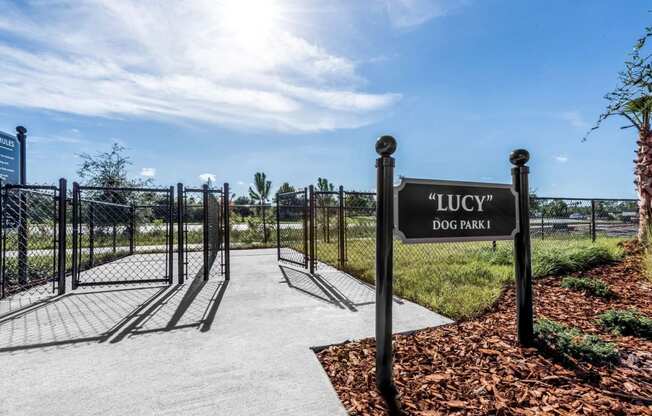 enter the dog park at lucy dog park apartments