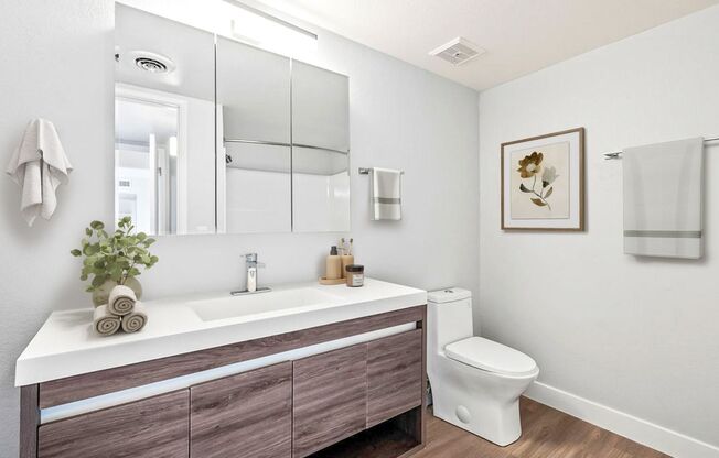 1 bed, 1 bath, 640 sqft, $1,350, Unit 241