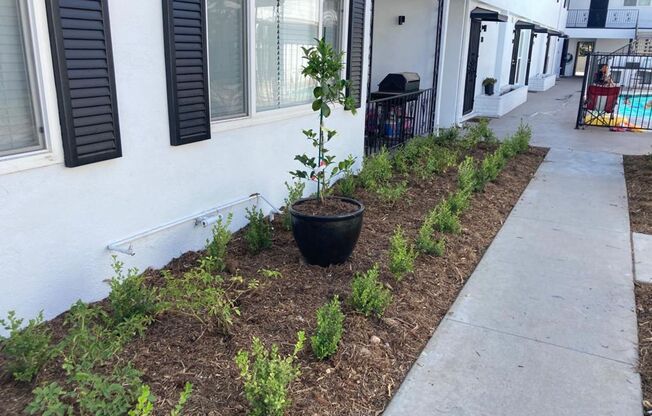 1 bed, 1 bath, 650 sqft, $1,950, Unit 220