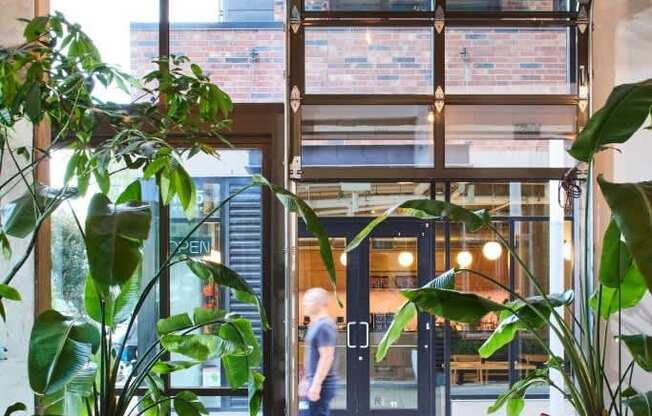 A living room with a couch, a chair, a table, and a potted plant.