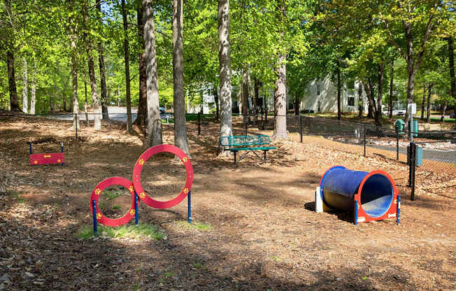 dog park with agility equipment