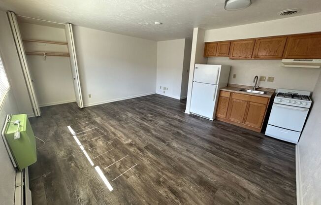 Studio, 1 bath, $750, Unit 205