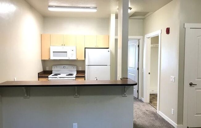 1 bed, 1 bath, 555 sqft, $995, Unit 4252-207