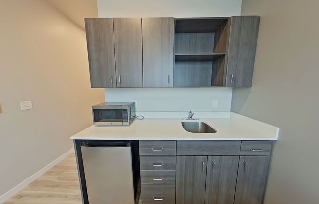 Studio, 1 bath, 261 sqft, $875, Unit 307