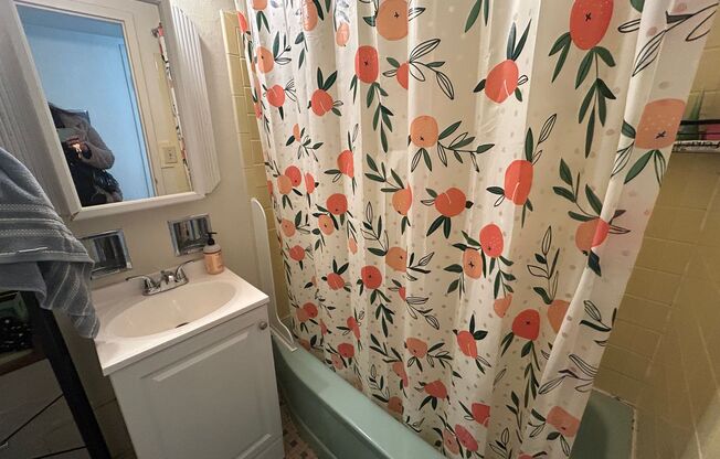 1 bed, 1 bath, $895, Unit 713