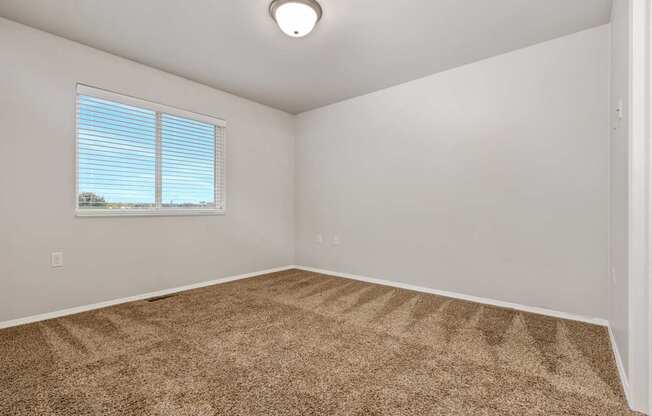 A room with a carpeted floor and a window with blinds.