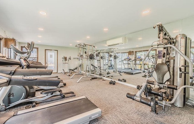 the gym is equipped with a variety of exercise equipment