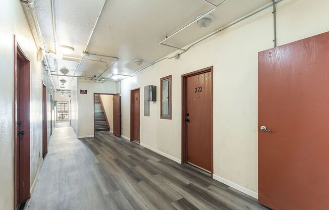 Studio, 1 bath, 164 sqft, $1,145.83, Unit 317