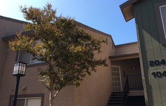 1 Bedroom 1 Bathroom Condo in Corona