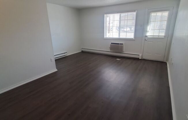 1 bed, 1 bath, $1,250