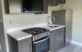 Studio, 1 bath, 303 sqft, $1,700, Unit 205