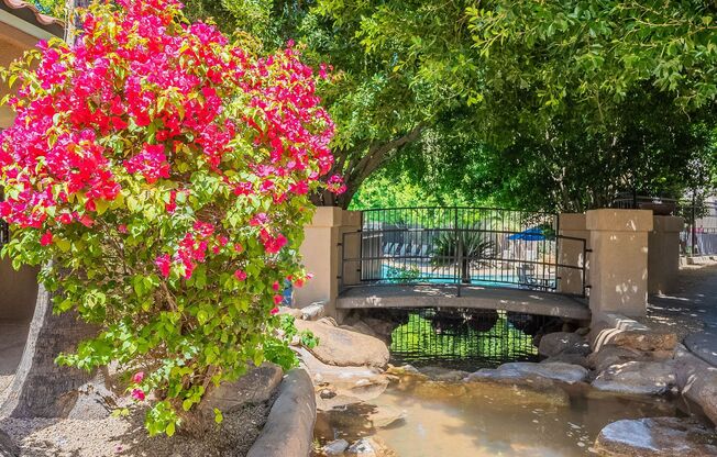 1 bed, 1 bath, $1,600, Unit #337