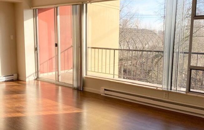 1 bed, 1 bath, 646 sqft, $1,450, Unit 704