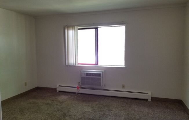Studio, 1 bath, 350 sqft, $1,115, Unit 126-7A
