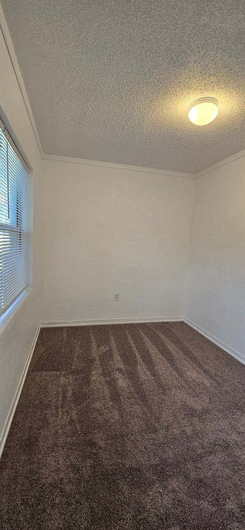 3/1 cottage conveniently located near Downtown Mount Dora