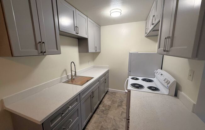 Spacious, Newly Remodeled, One Bedroom apartment