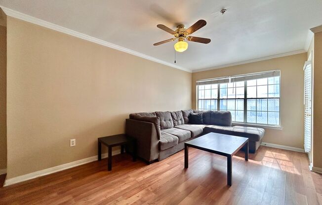 Light-Filled 2BR/2BA with Balcony in Austin