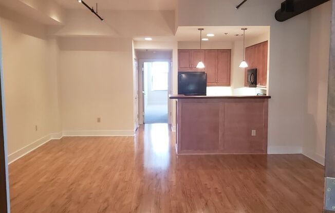 Spacious 2 bedroom 2 bathroom 2000+ Sq Ft - Grove Arcade Residences Downtown Asheville