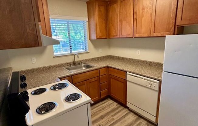 1 bed, 1 bath, 700 sqft, $1,555, Unit 36