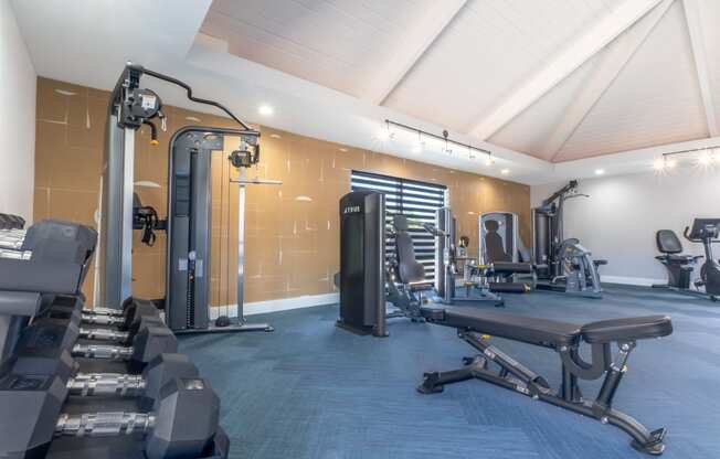 a gym with cardio equipment and weights on a blue floor