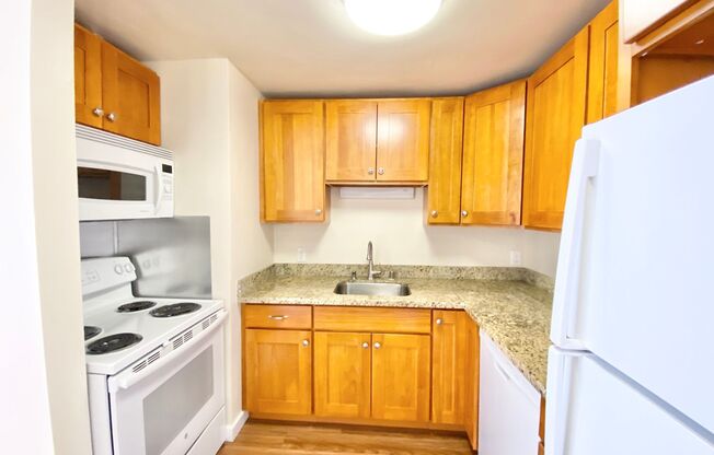 1 bed, 1 bath, 495 sqft, $1,595, Unit 203