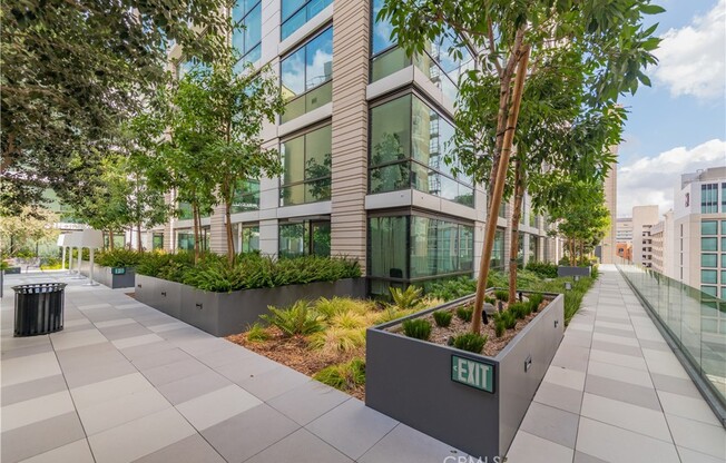 2 beds, 2 baths, 1,039 sqft, $3,700, Unit 1803