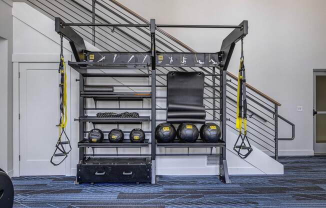 Gym Equipment stand with fitness bands, exercise mats, and weighted balls