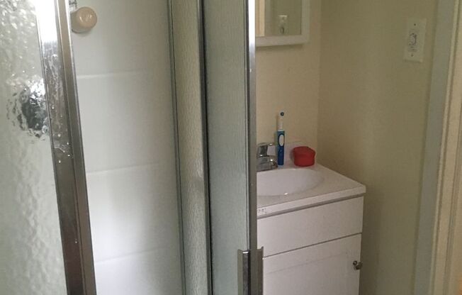 Studio, 1 bath, 270 sqft, $965, Unit 100